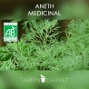Graines Aneth Officinale Bio