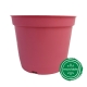 Pot de Fleurs Horticole en plastique de 2 litres - Couleur : ROSE PINK