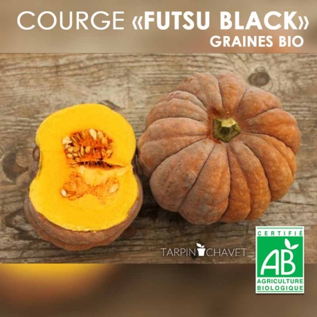 Graines Courges Bio Futsu Black - Photo par Atypyc Semences