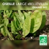 Graines d'Oseille Bio