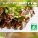 Graines de Laitue Batavia "Rouge Grenobloise"