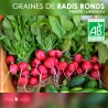 Graines de Radis Ronds Bio "Rudolf"