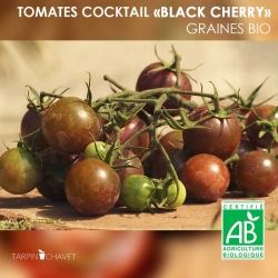 Graines de Tomates Cocktail Bio "Black Cherry"
