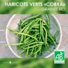 Graines de Haricots Verts Bio "Cobra"