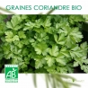 Graines de Coriandre Cultivée Bio