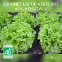 Graines de Laitue Verte Bio "Salad Bowl"