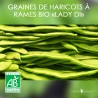 Graines de Haricots à Rames d'Espagne Bio "Lady Di"
