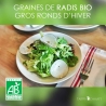 Graines de Radis Noirs Bio "Gros Ronds d'Hiver"