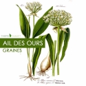 Graines d'Ail des Ours [Allium ursinum]
